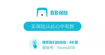 百年康惠保旗舰版纯重疾险深度解读 聚焦核心保障，守护家庭健康